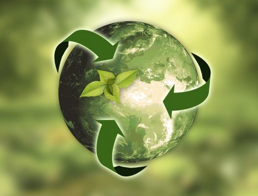 Comment transformer vos évènements en évènements écologiques ?